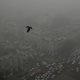 Foto: AP Images.